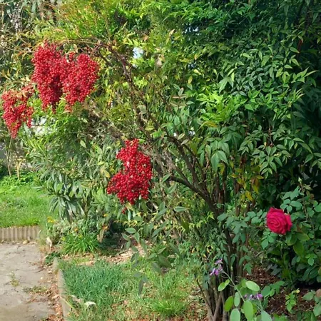 Delle Arti Bed and breakfast 3*