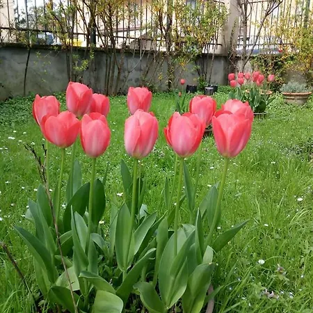 Delle Arti Oda ve Kahvaltı *