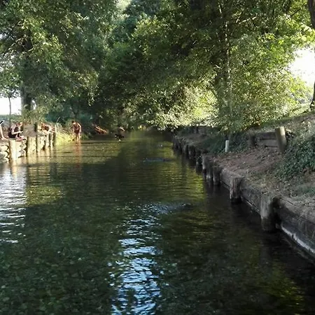 Delle Arti
