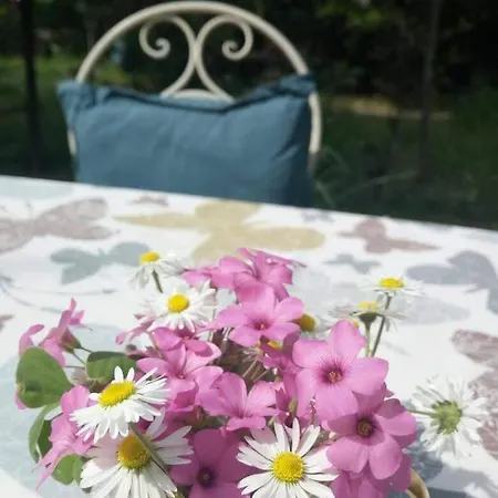Bed & Breakfast Delle Arti *