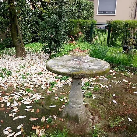 Delle Arti 3*
