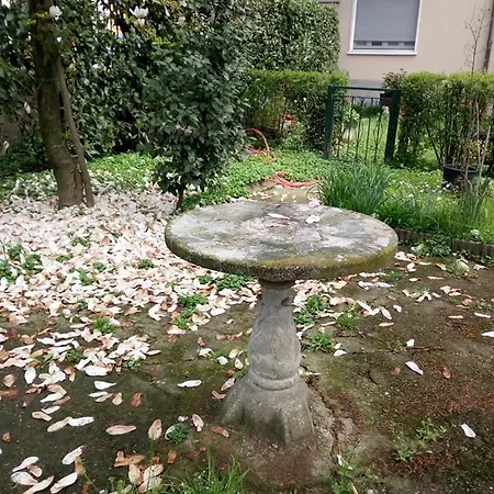 Delle Arti クレーマ