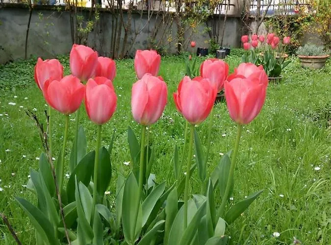 Delle Arti Bed & Breakfast 3*