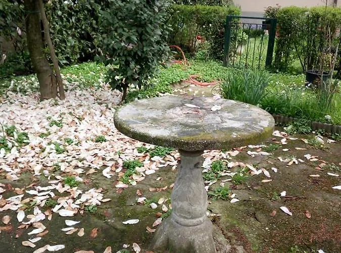 Delle Arti Crema